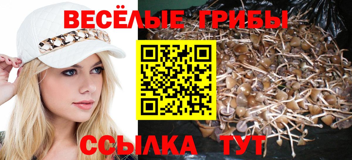 Галлюциногенные грибы Magic Shrooms Коряжма